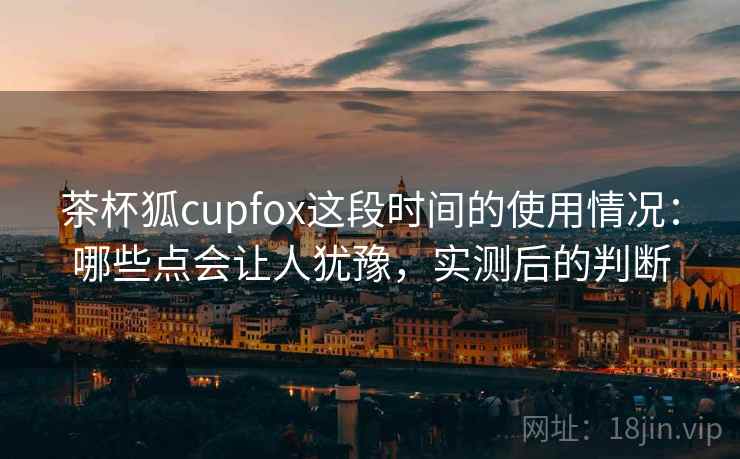 茶杯狐cupfox这段时间的使用情况:哪些点会让人犹豫,实测后的判断
