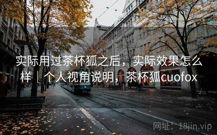 实际用过茶杯狐之后,实际效果怎么样|个人视角说明,茶杯狐cuofox