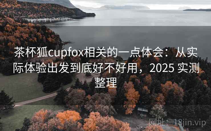 茶杯狐cupfox相关的一点体会：从实际体验出发到底好不好用，2025 实测整理